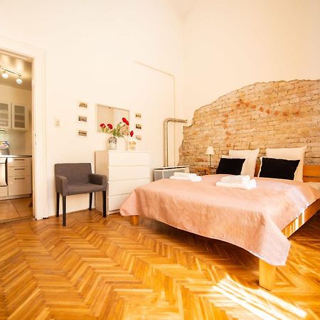 Ultra Central Cosy Ac Apartment 布达佩斯 外观 照片